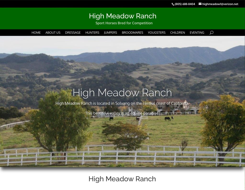 horses-for-sport3 High Meadow Ranch
