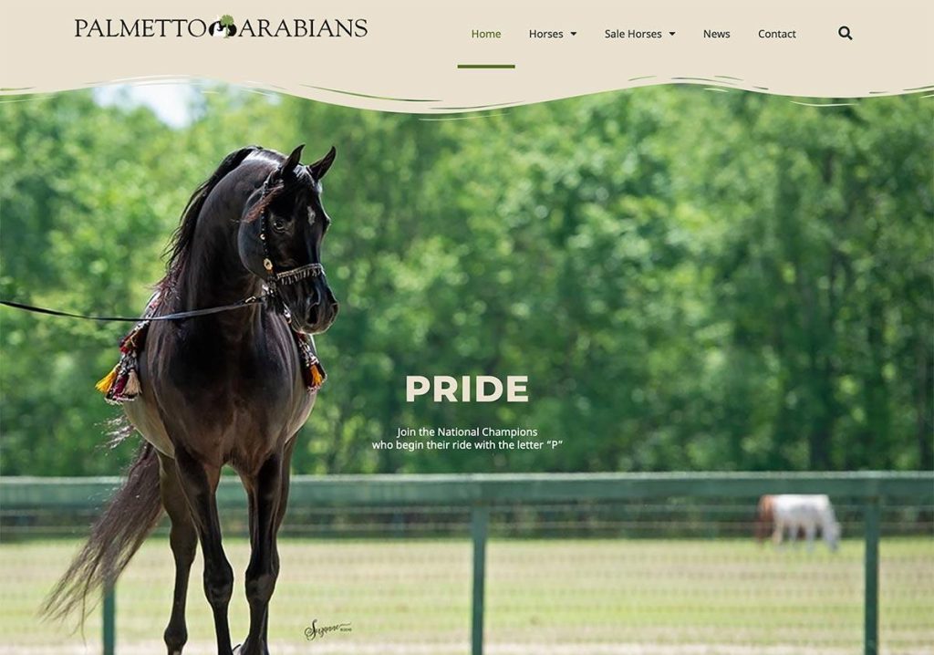 Palmetto Arabians