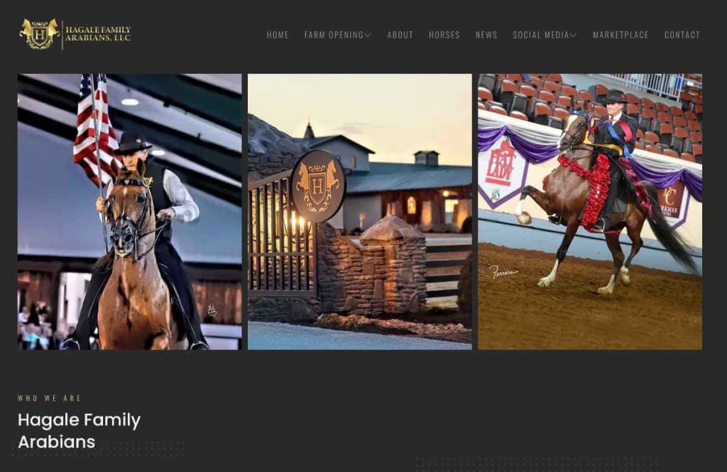 Hagale Family Arabians Hagale Family Arabians