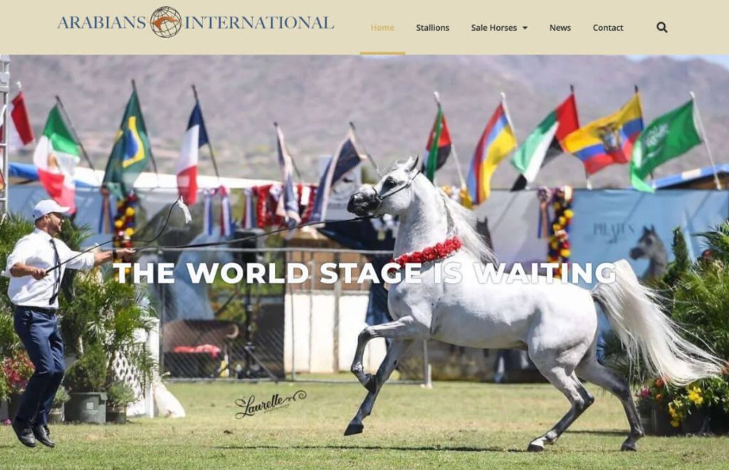 Arabians International Website