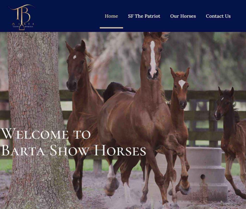 Barta Show Horses